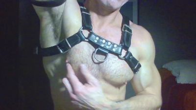 horny__pig from United States